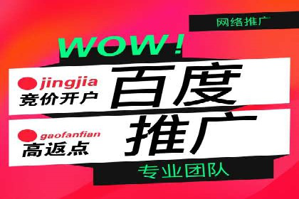百度推广在电商行业的应用案例